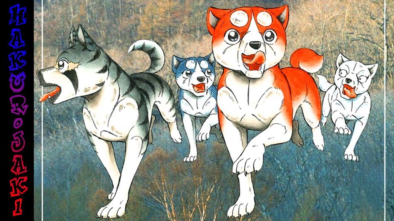 ORION ja kumppanit - Tuulet puhaltaa