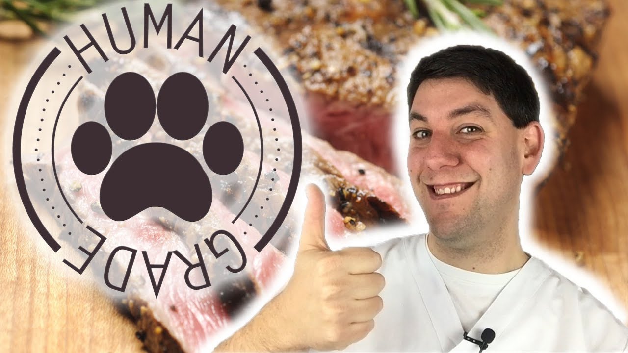 Alimenti Grado Umano o Human Grade per cani e gatti: che cosa sono davvero?