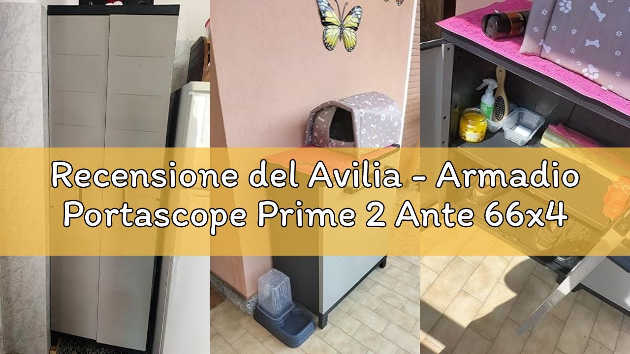 Recensione del Avilia - Armadio Portascope Prime 2 Ante 66x40x172cm in Plastica Effetto Legno UV Res