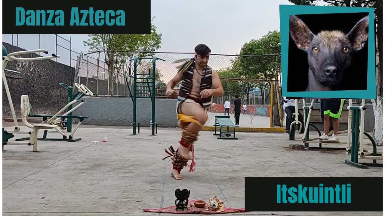Itskuintli (Perro) | Danza Azteca