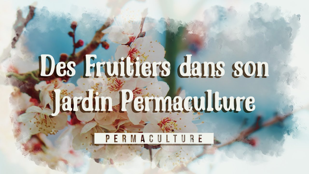 Quels Fruitiers dans son Jardin Permaculture 🍎🍑