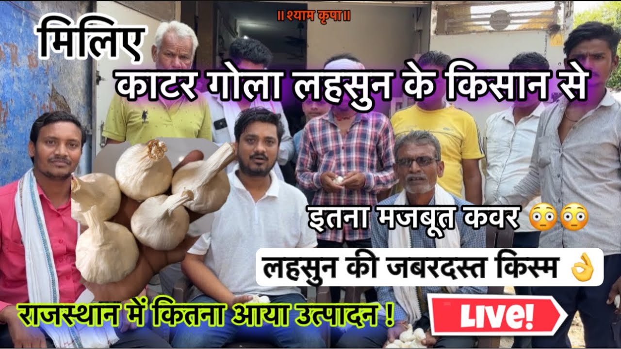 मिलिए काटर गोला लहसुन के किसान से । लहसुन की नई किस्म कैसी हैं ? । KATAR GOLA LAHSUN 