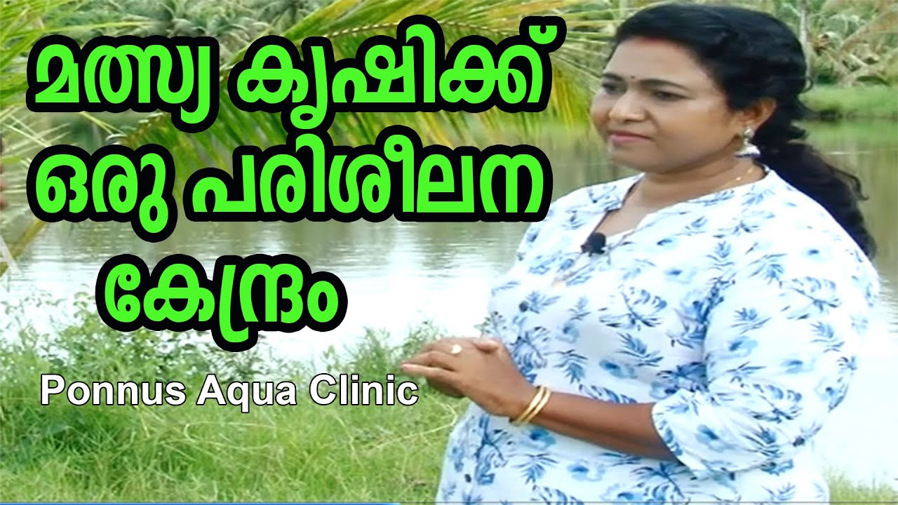മത്സ്യ കുഞ്ഞുങ്ങളെ വാങ്ങാനും പരിശീലനത്തിനും ഒരു കേന്ദ്രം Ponnus Aqua Clinic | Fish Farming Malayalam
