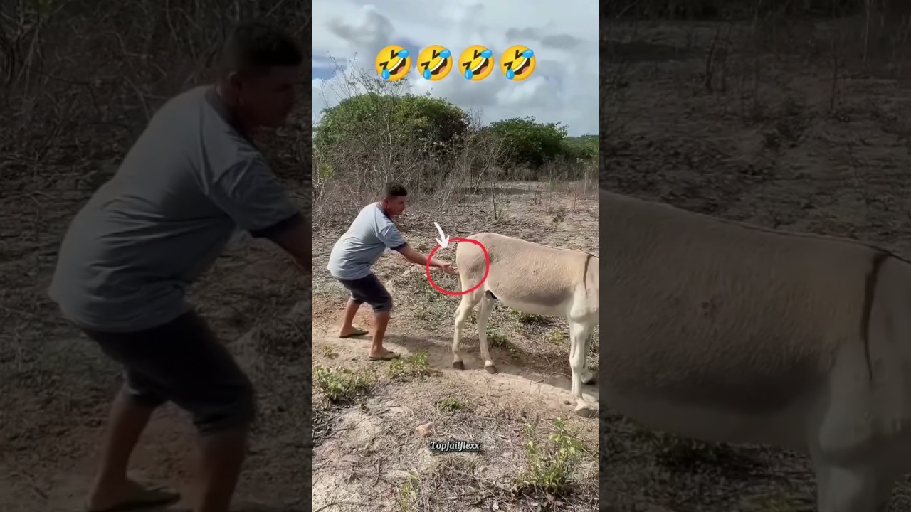 Crazy epic fails 🤣🤣🤣 | Ep 52 #shorts #memes #fails #funnymoments