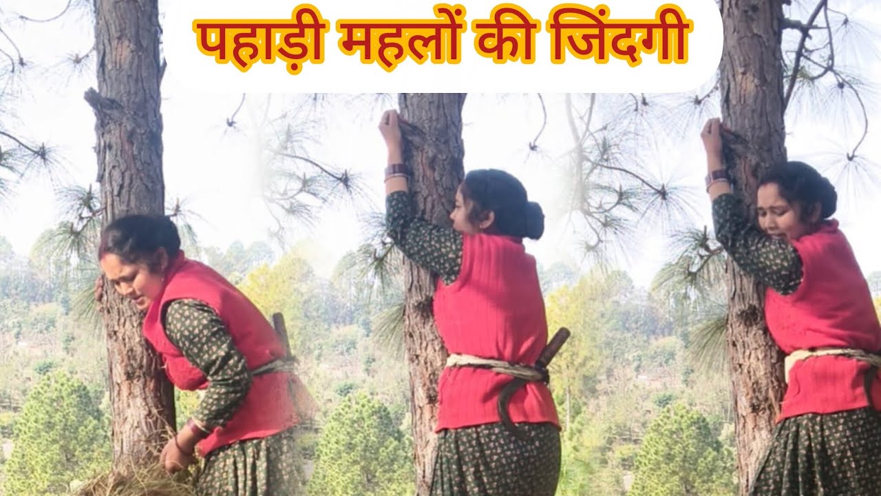 पहाड़ों में सब कुछ करना पड़ता है #phadilifestyle @DurgaNegiPahadiVlogar 