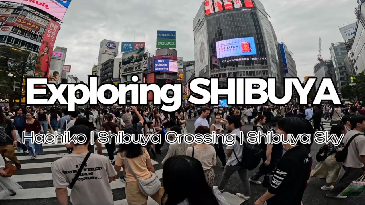 Shibuya Walking Tour | Hachiko Statue, Shibuya Crossing & Shibuya Sky Tokyo