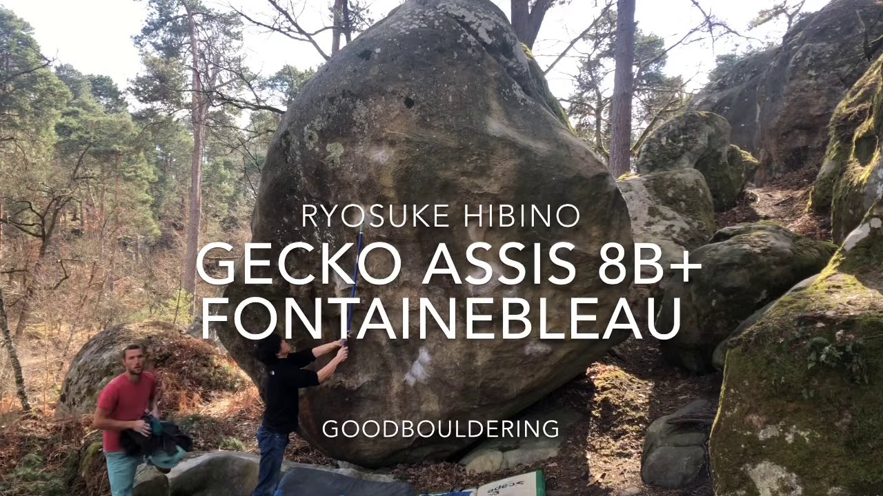Ryosuke Hibino Gecko assis 8b+ Rocher de Bouligny Fontainebleau キレイなムーブでV14を登る日比野【グッぼるツアー】