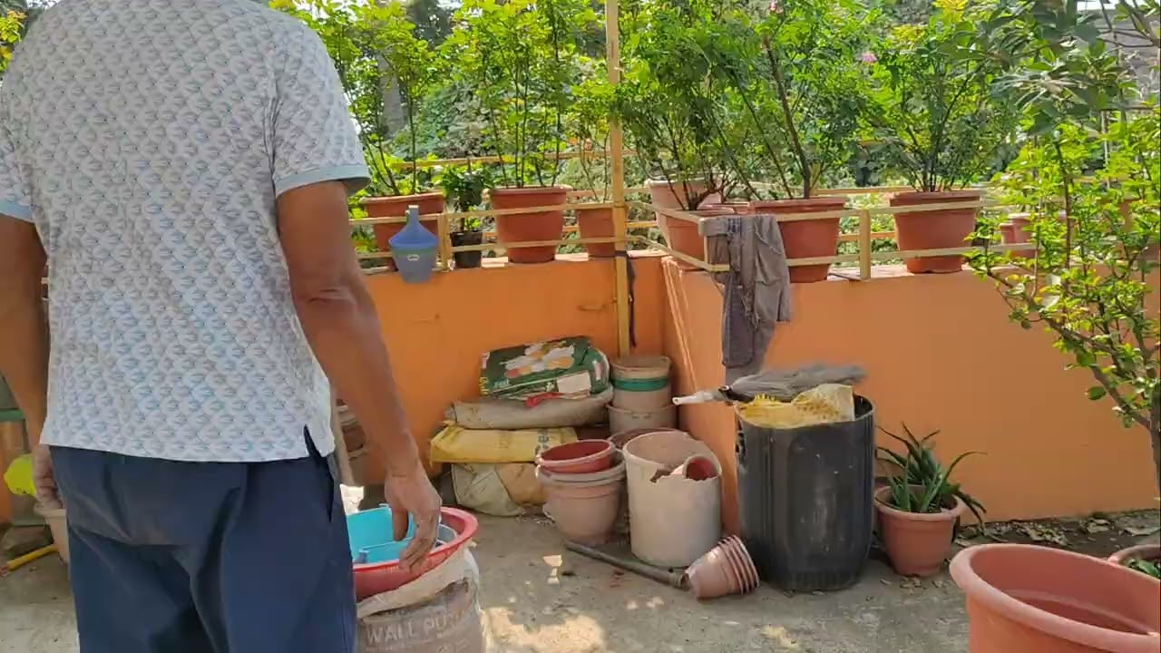 Rooftop garden 