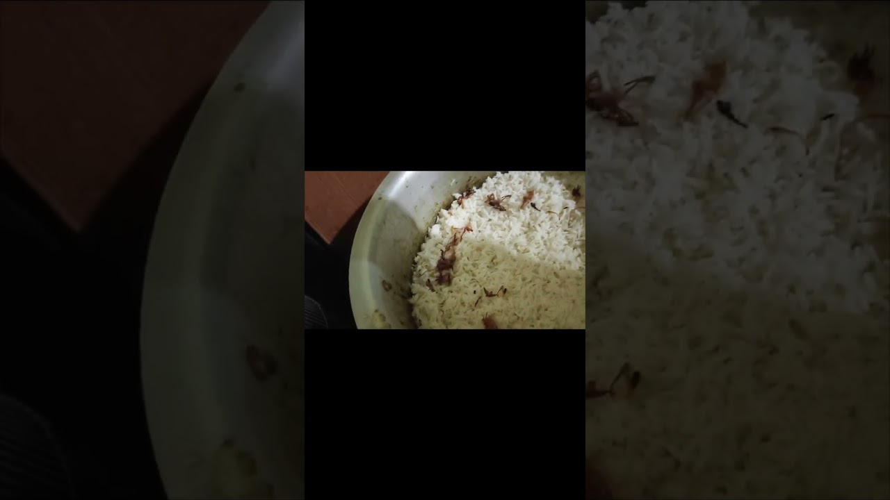 Haydrabadi chicken dum biryani 