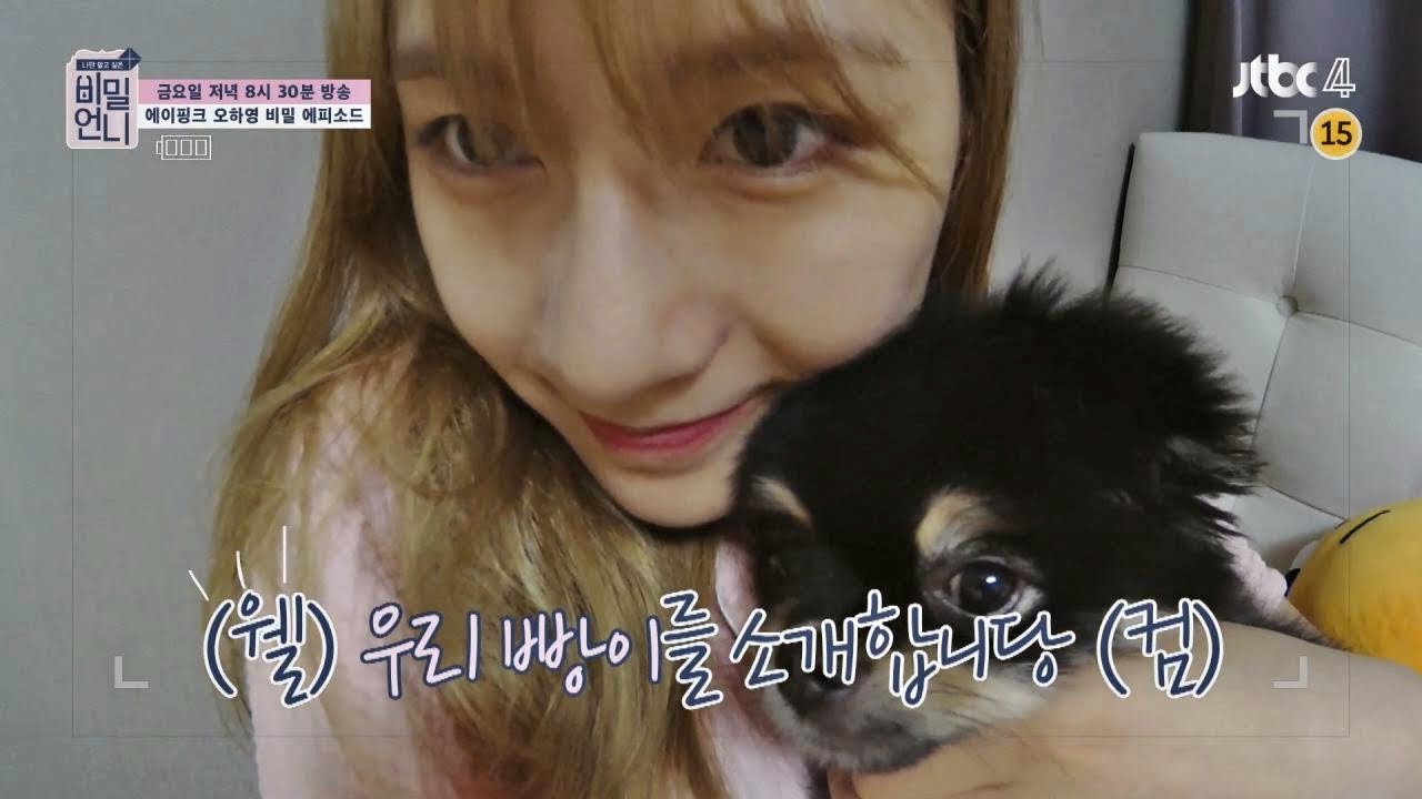 [미공개] *심장주의* 하빵이 댕댕이 '오빵이' 공개!  비밀언니 (secretsister) 15회