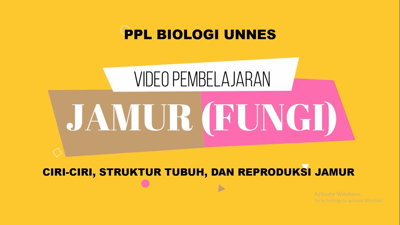 VIDEO PEMBELAJARAN MATERI FUNGI (JAMUR) KELAS 10 SMA | PPL BIOLOGI UNNES