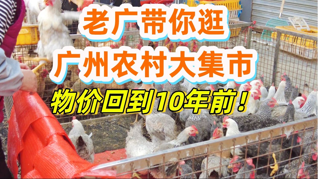 广州最贴地的农村大集市！物价回到 10 年前！6元肠粉，10元猪杂粥！莲香楼酒家饮茶兼午餐150元2人！#赶集 #广州  #Guangzhou's largest farmers' market