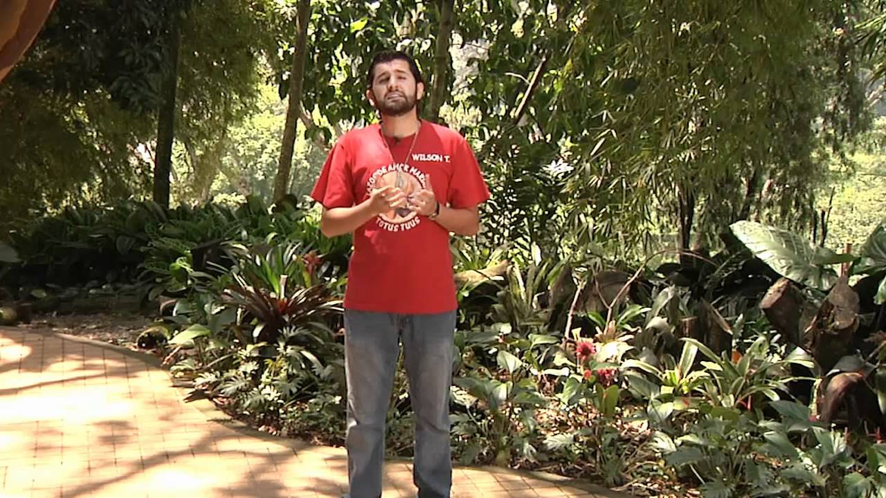 CONOCIMIENTO DE SÍ MISMO LECCION # 13