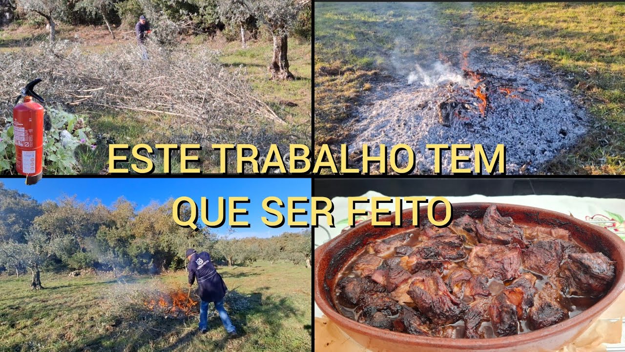 DEPOIS DA APANHA DA AZEITONA🫒 É URGENTE FAZER ISTO!Também fiz chanfana à minha moda.