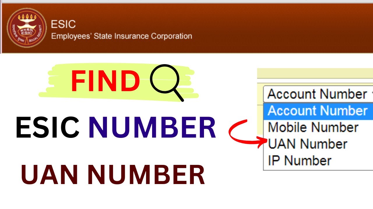 Find ESIC Number By UAN !