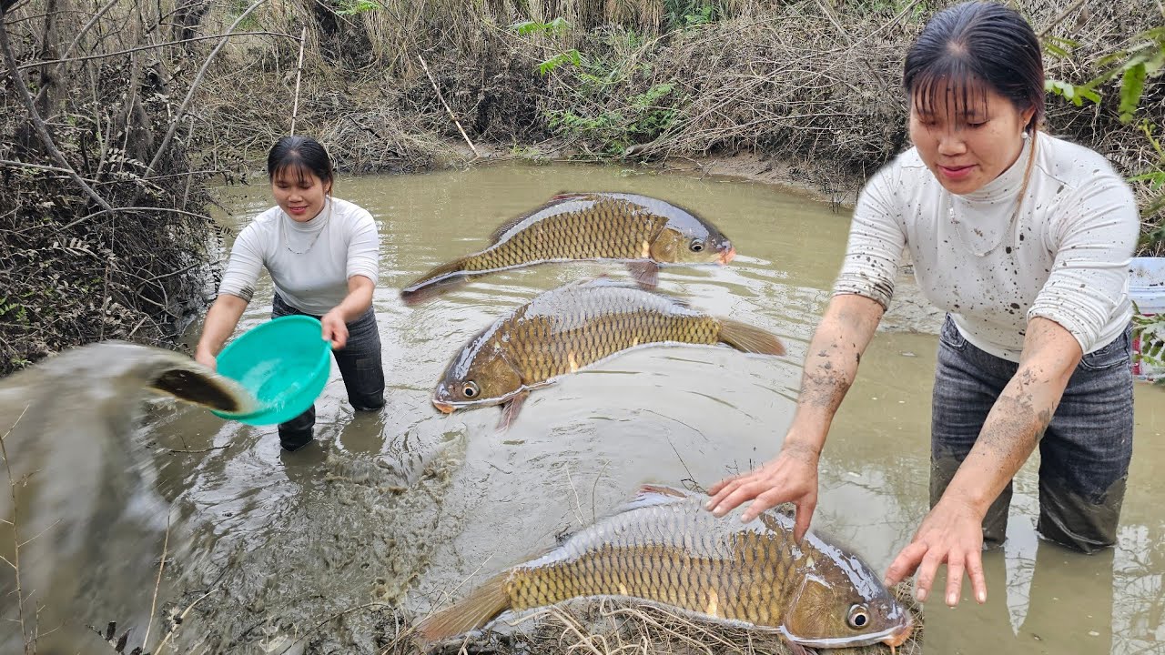 Draining a puddle, they encountered a huge school of fish.