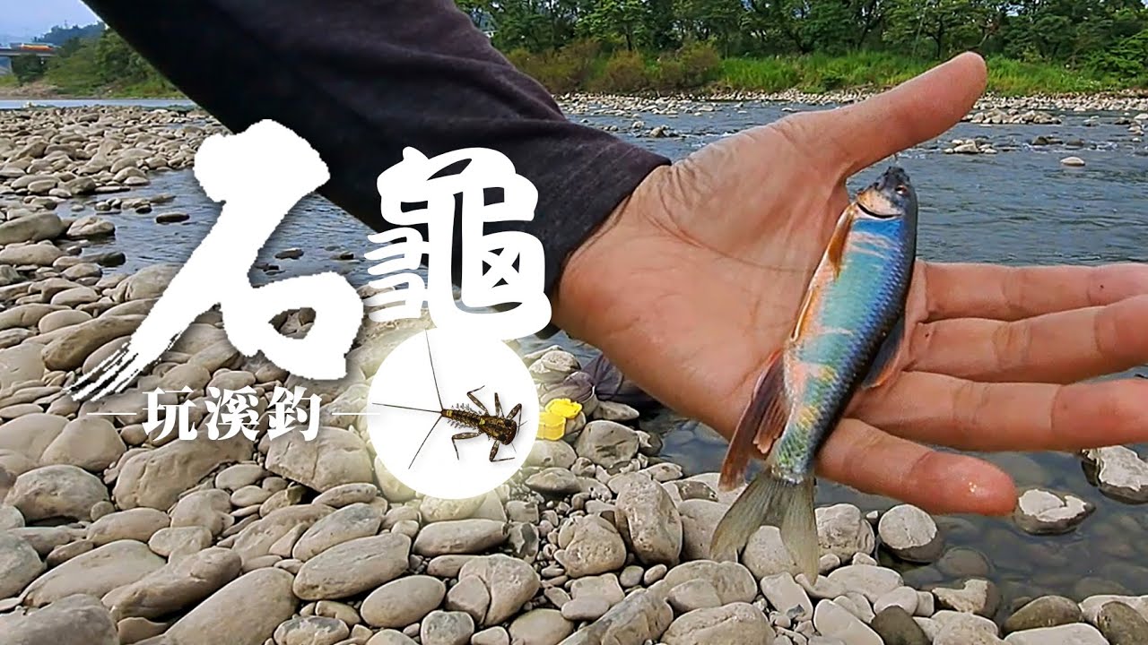 示範及簡單實釣抓石龜-玩溪釣--初學溪釣入門必知.百面咬，另類活套結綁法。