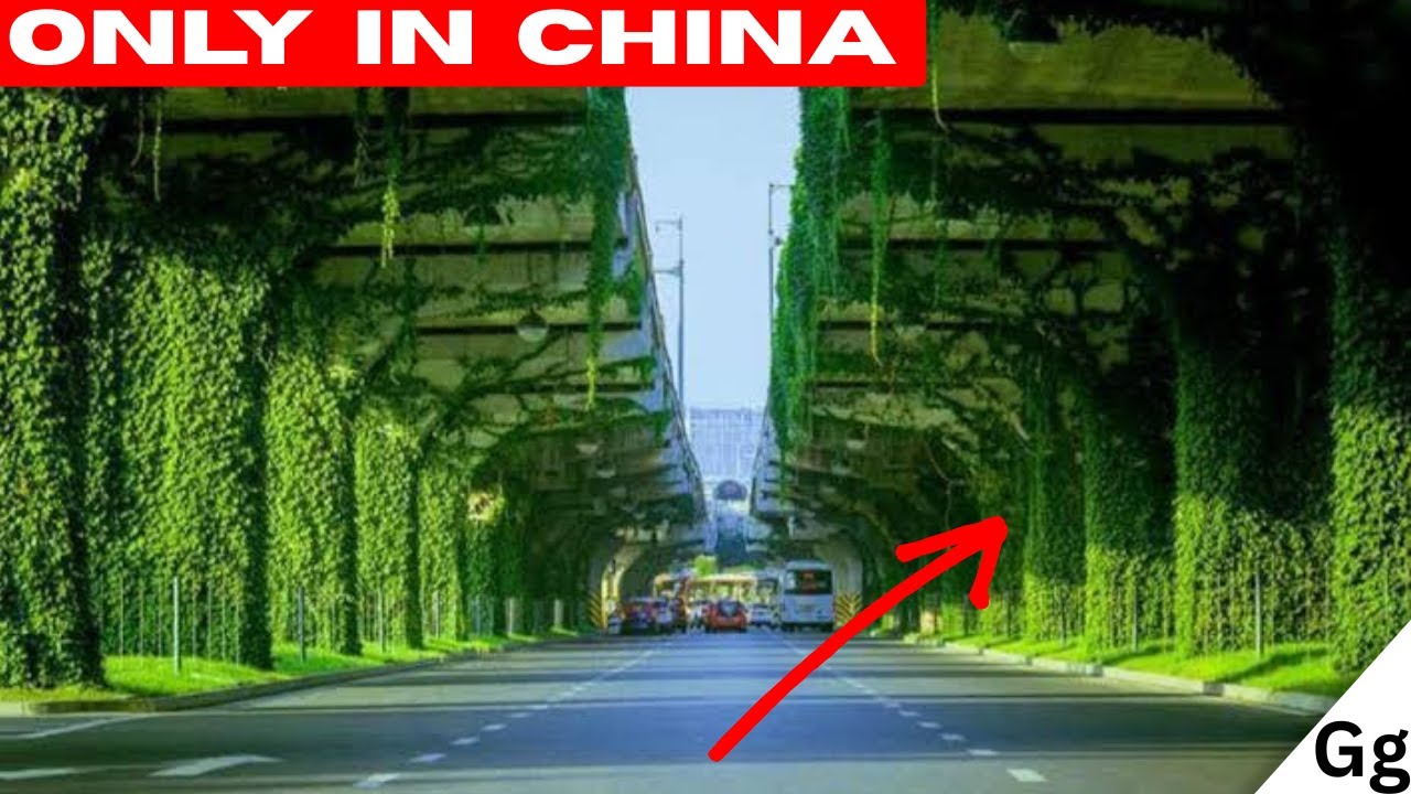 China's green highway bridges megaproject!!!