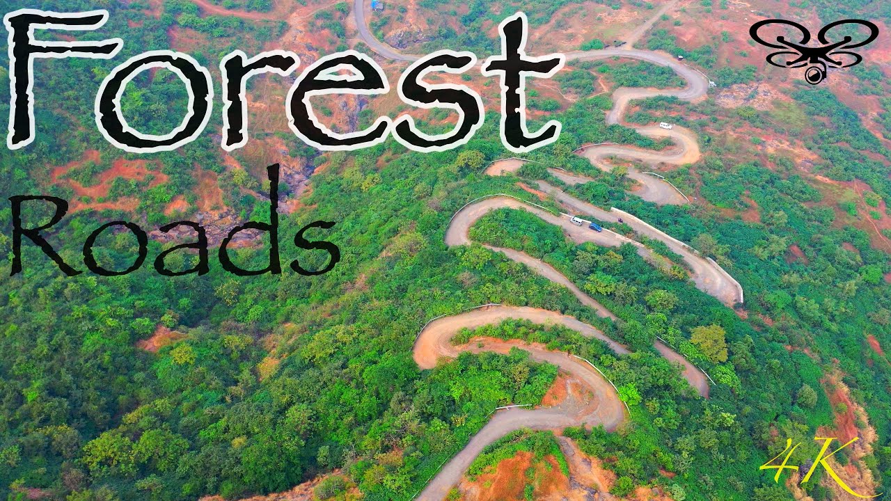 Scenic Forest Roads in India | Incredible India Aerial | 4K