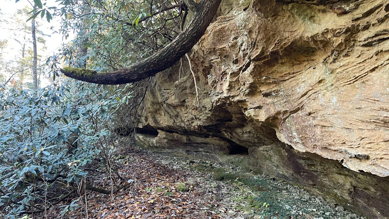 Wildcat Trail Pine Ridge Ky (Exploring Appalachia)