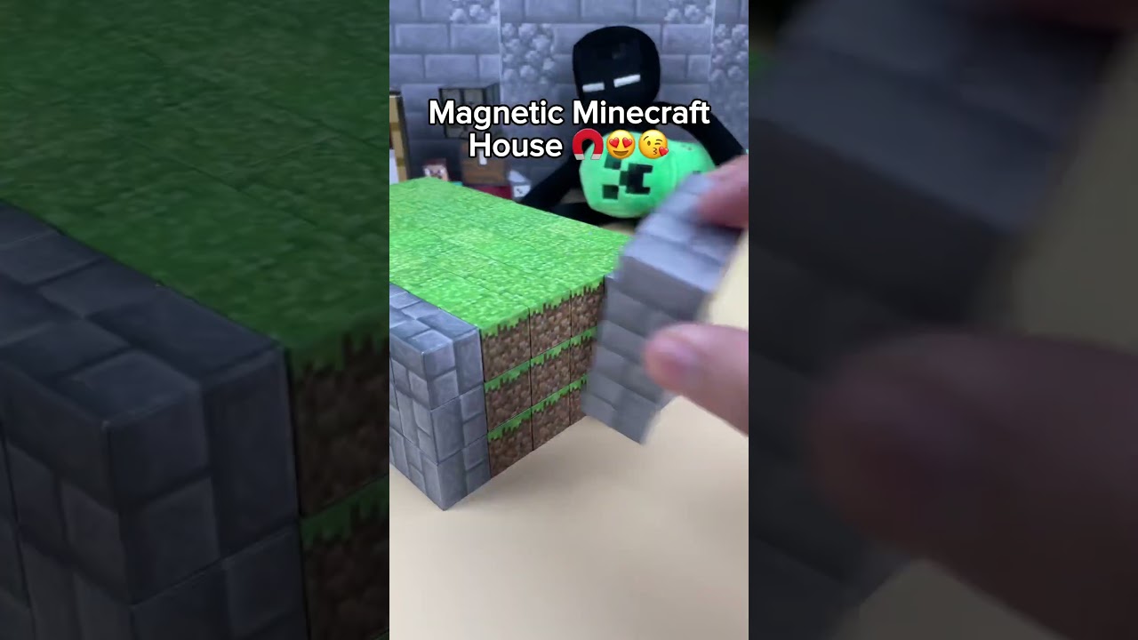 Prototype Minecraft House vs Magnetic 🧲😱