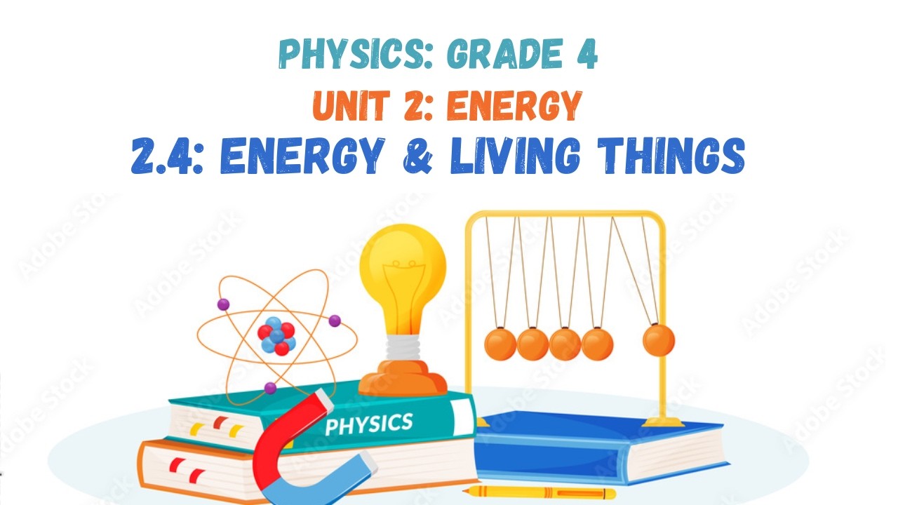 2.4: ENERGY AND LIVING THINGS