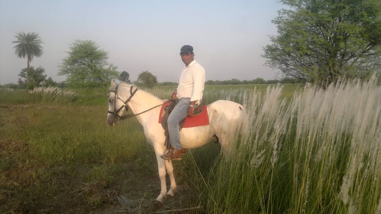 Bharat Sahu is live