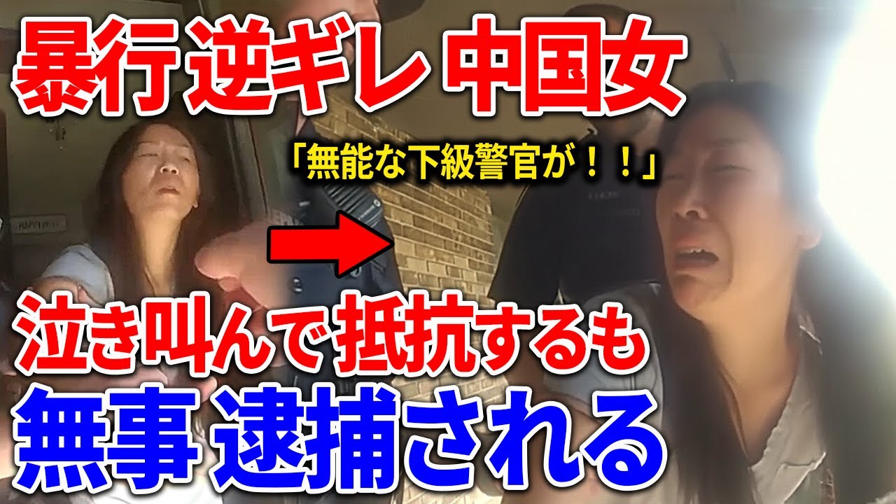 自分を正当化して警察に逆ギレした中国系女の末路w #詐欺 #犯罪 #警察 #アメリカ