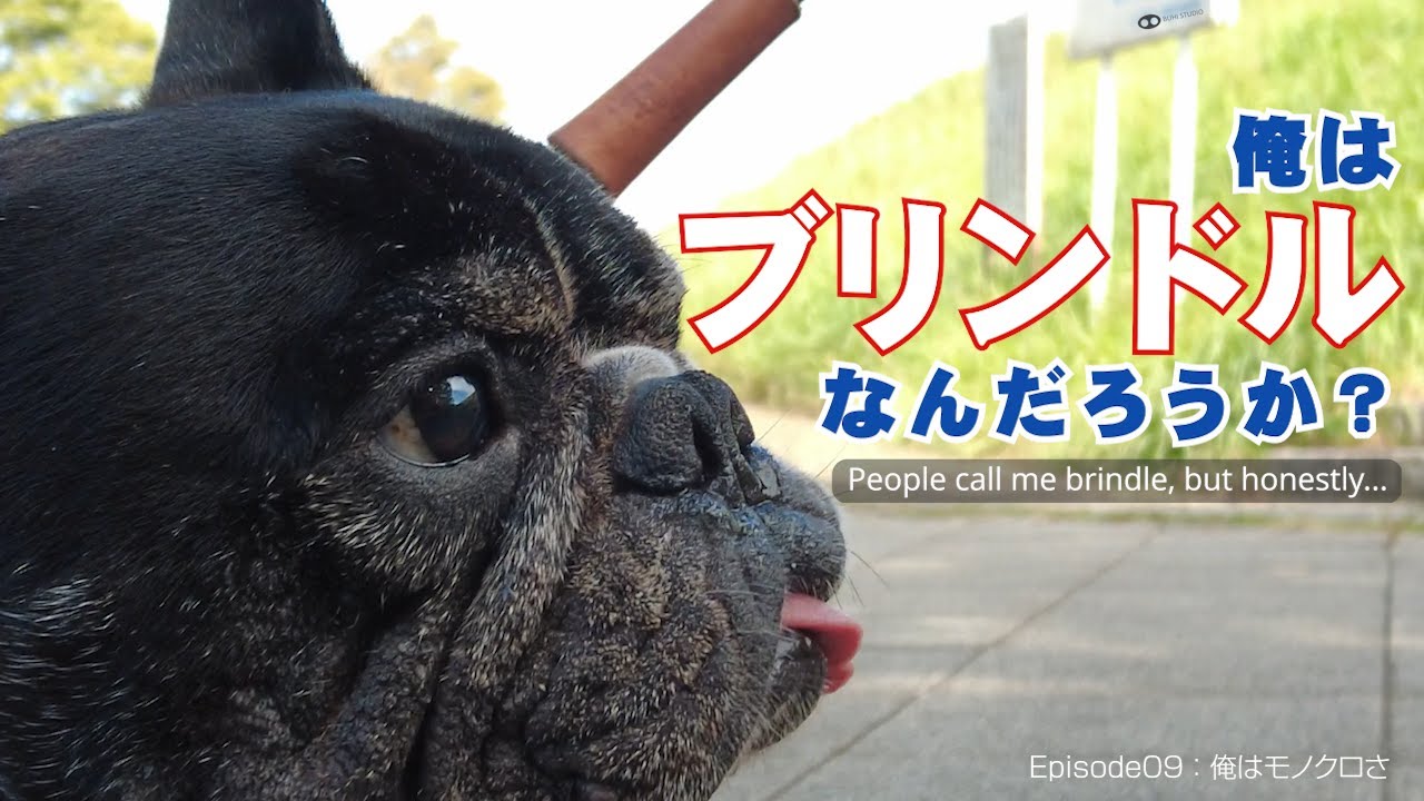 Episode10「俺はモノクロさ」