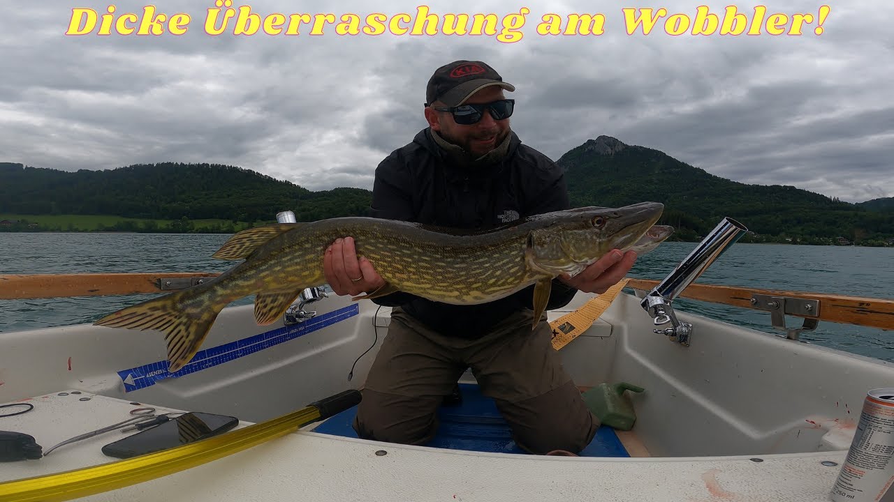 Heftiger Einschlag beim Hechtfischen I Renken I Barsch I Seeforelle