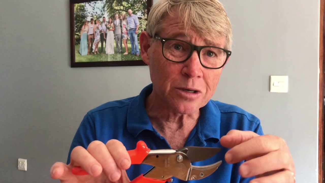Features of Original Lowe 10.107 Pruner
