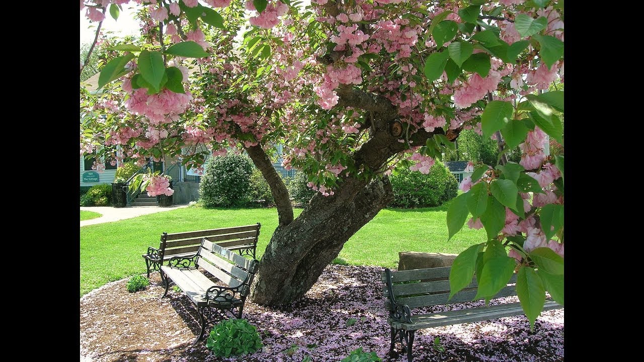 Wedding venues in Connecticut
