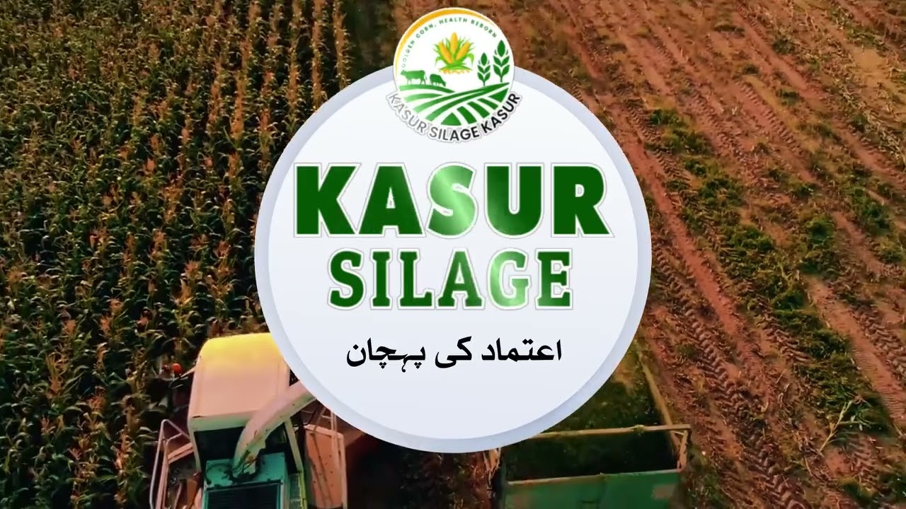 Kasur Silage Kasur #TVC2025 #buraqpromotion +923034949000