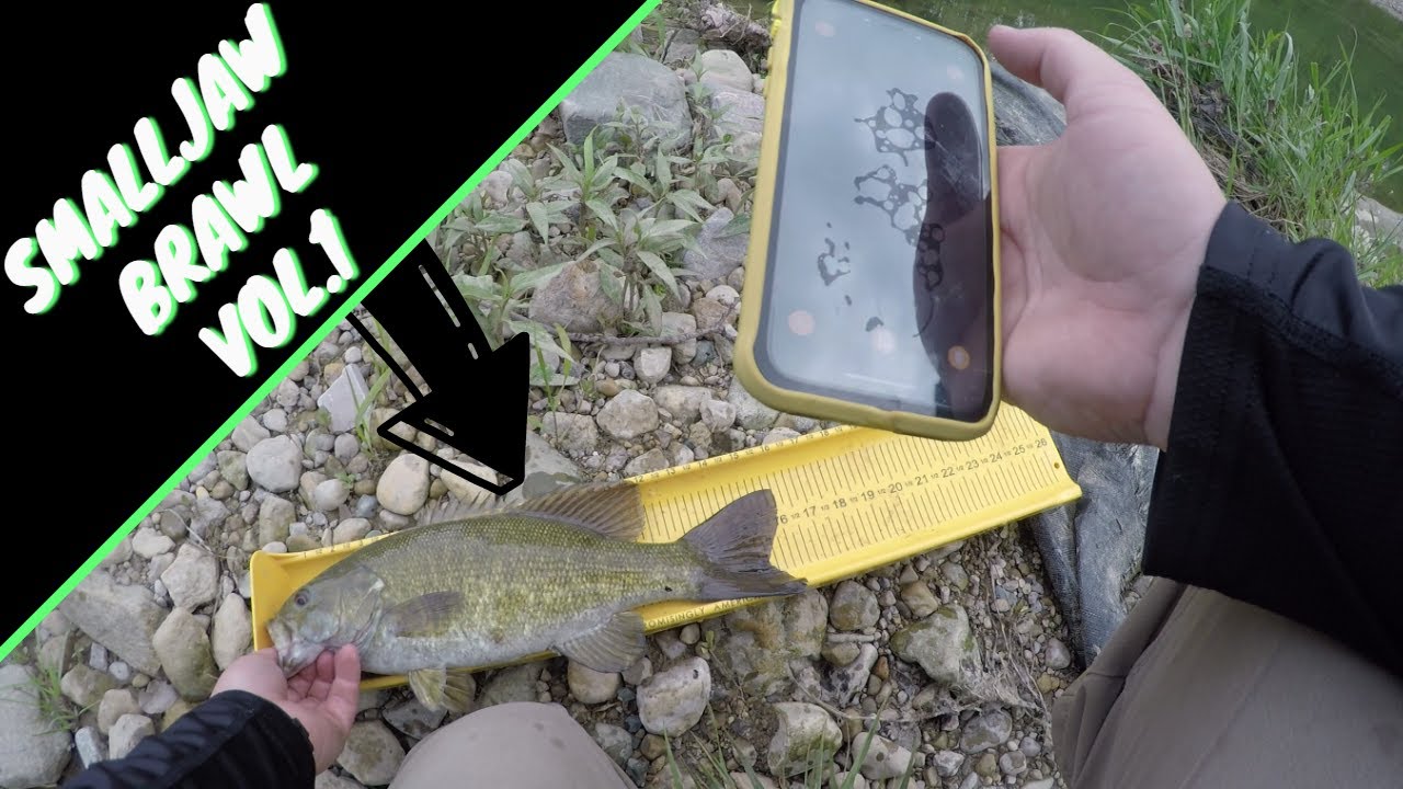 Fishing for Smallmouth Bass in a small Creek in Ohio (Smalljaw Brawl vol1)
