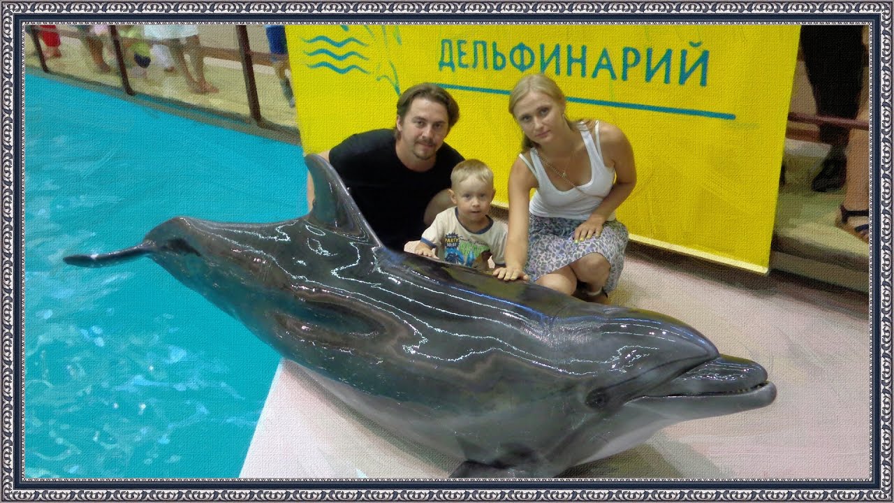 Геленджикский дельфинарий | минимум монтажа