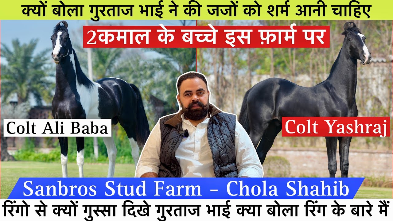 रिंगो से क्यों गुस्सा दिखे गुरुताज भाई क्या बोला रिंग के बारे मैं 2 बेहतरीन बच्चे इस वीडियो मैं !