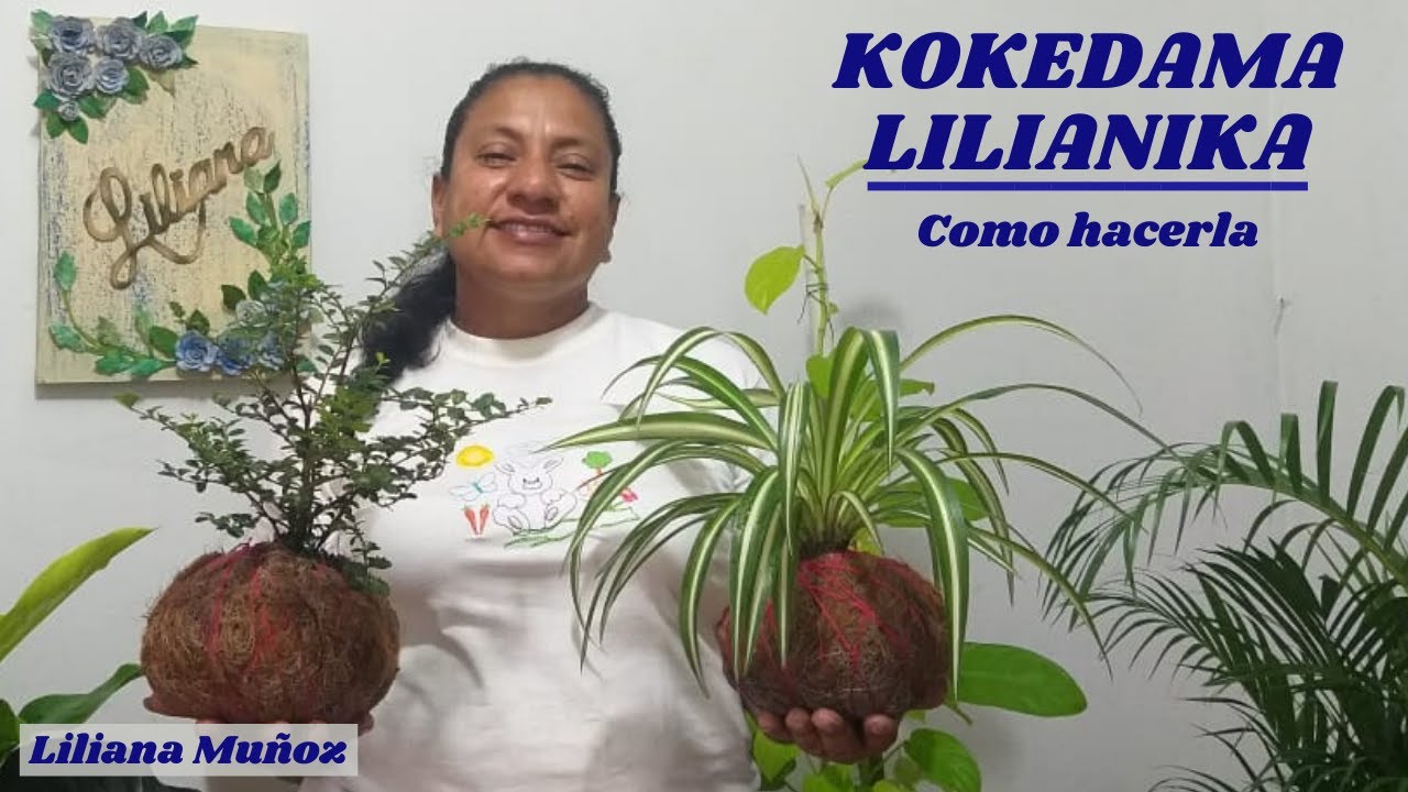 KOKEDAMA LILIANIKA- como hacerla / Liliana Muñoz