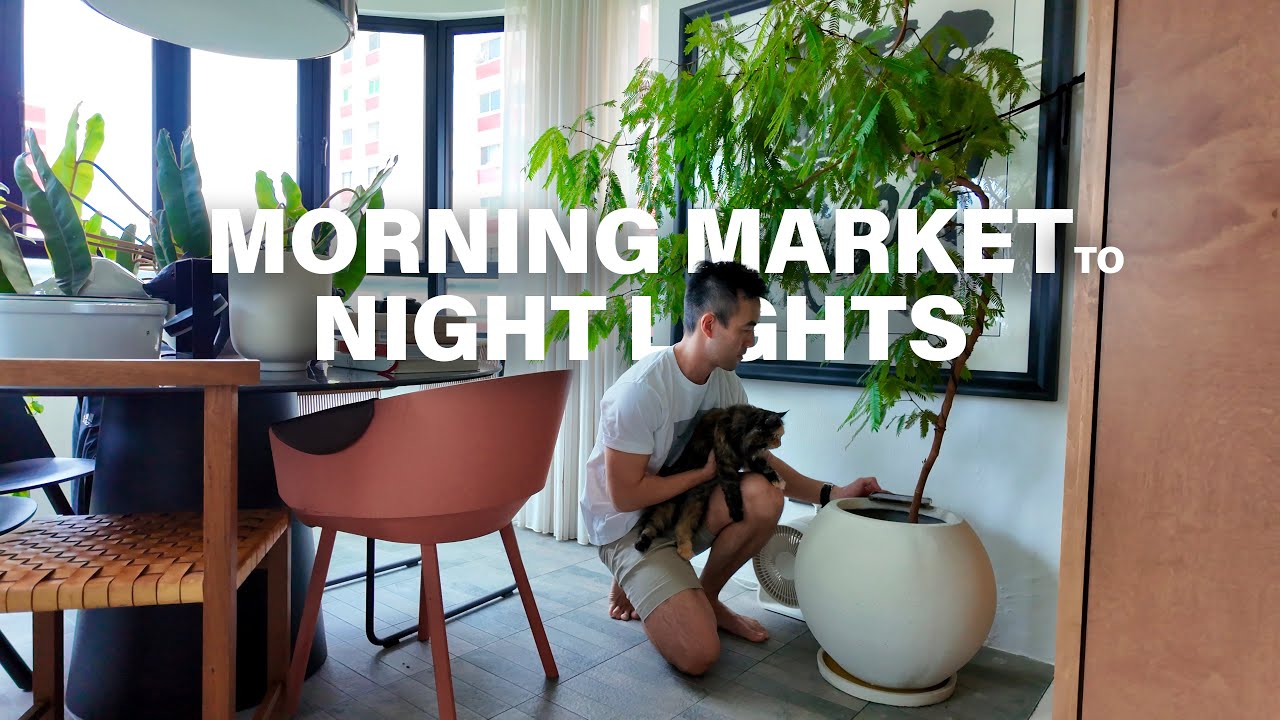 Living Local in Singapore | Morning Market to Night Lights
