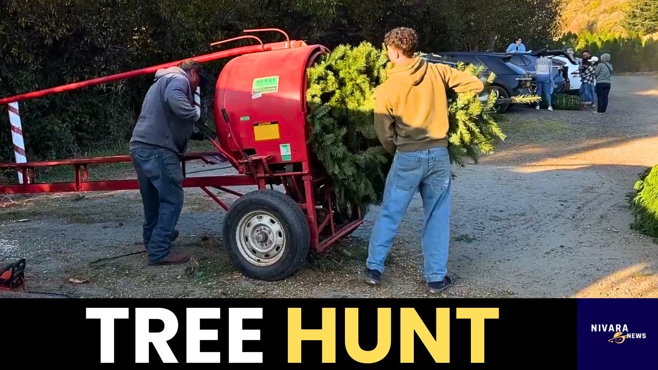 Christmas tree rush fills Santa’s Farm in Half Moon Bay