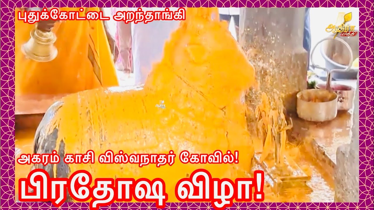  புதுக்கோட்டை அறந்தாங்கி அகரம் காசி விஸ்வநாதர் கோவிலில் பிரதோஷ விழா!