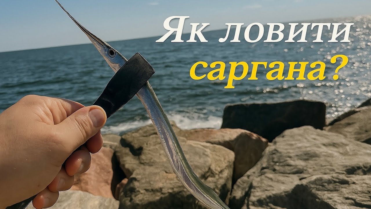 ✅ Як ловити саргана на бомбарду. Ловимо саргана в Одесі. 🐟