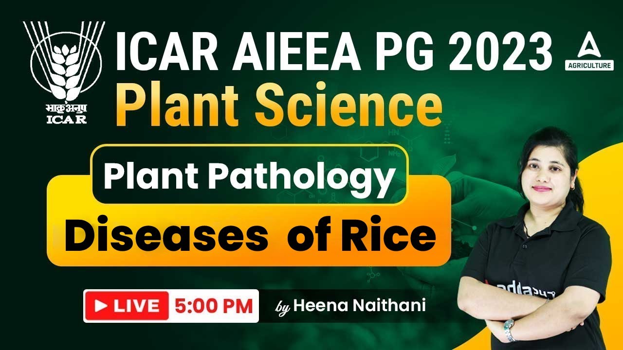 Diseases of Rice in Plant Pathology for ICAR AIEEA PG 2023 Exam by Heena Naithani