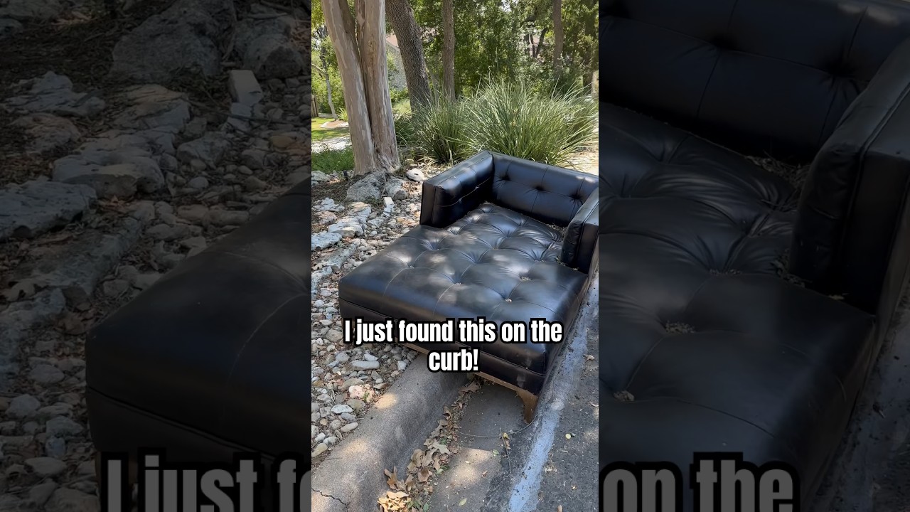 Unbelievable TRASH Find on the curb! 