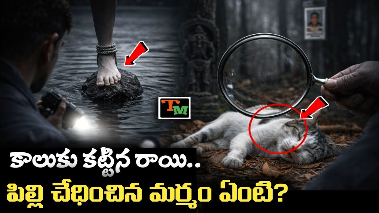 A Stone-Tied Leg in the Lake… A Cat Helped Kerala Police Solve This Shocking Case! | Telugu Mystery