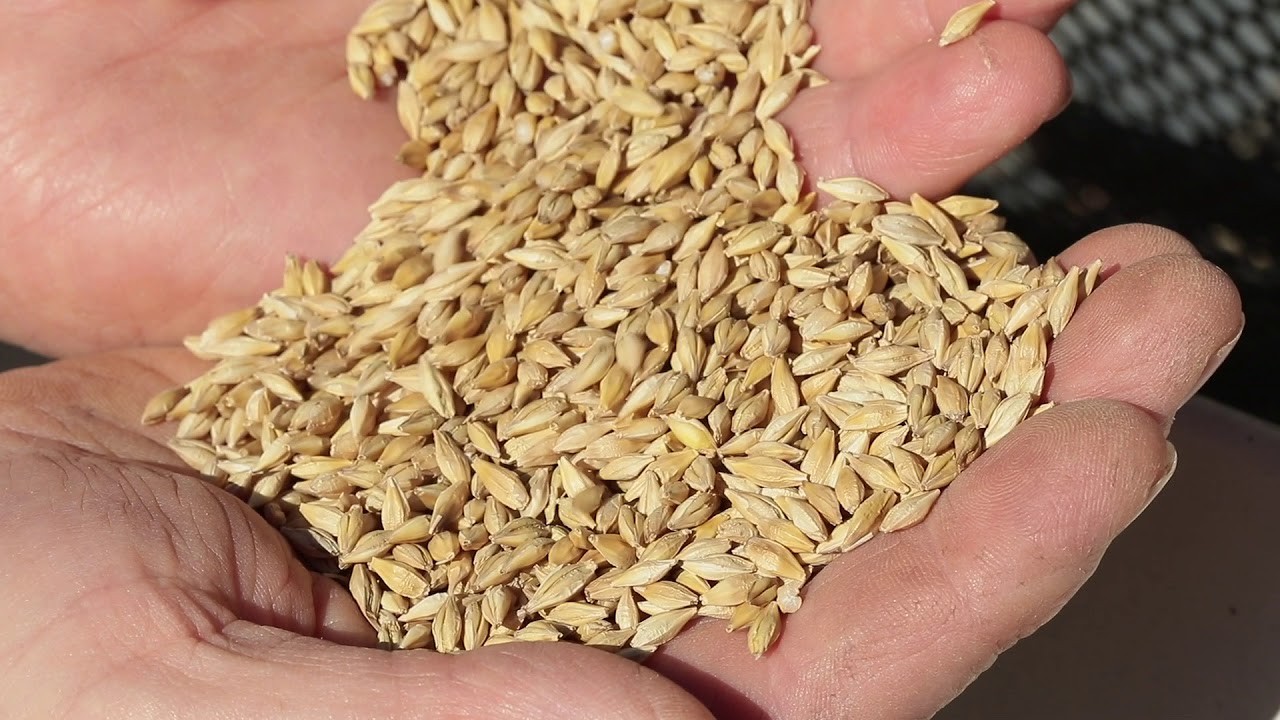 Mobile Seed Processing Plant Dorez