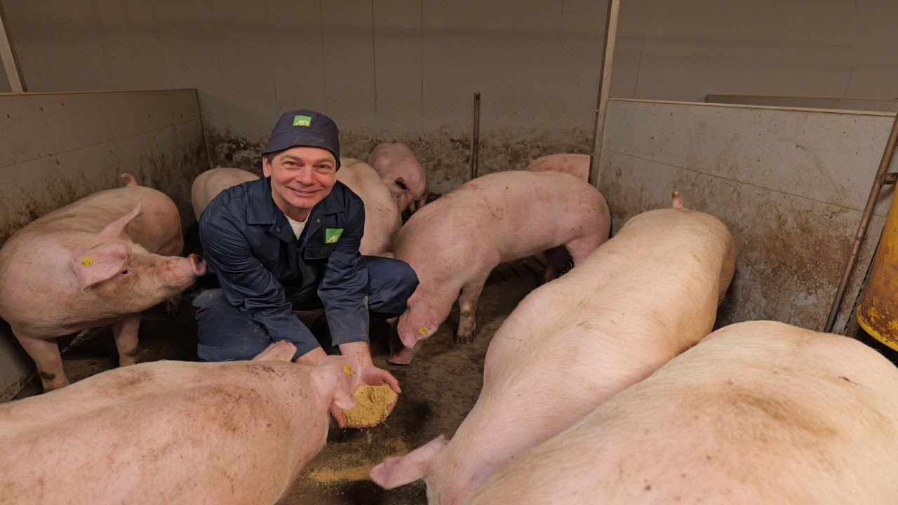 Kijkje in de AR-voerkeuken: CCM, aflevering 6