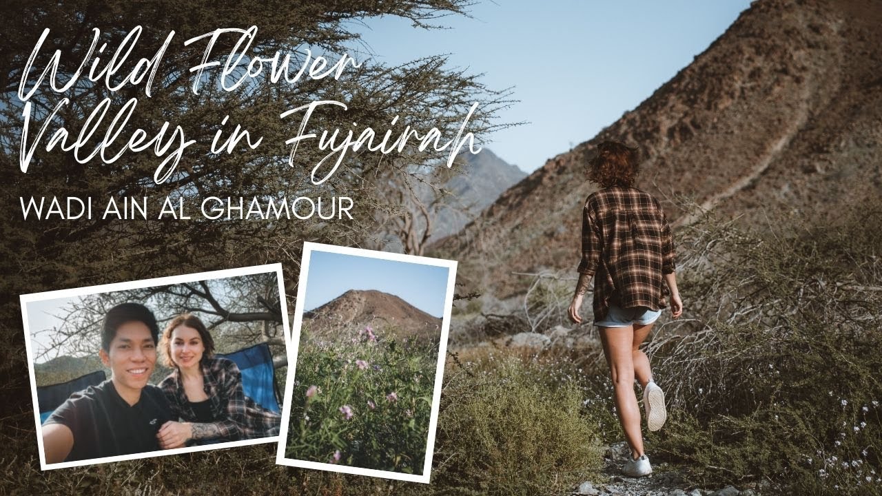 Wild Flower Valley in Fujairah | Wadi Ain Al Ghamour
