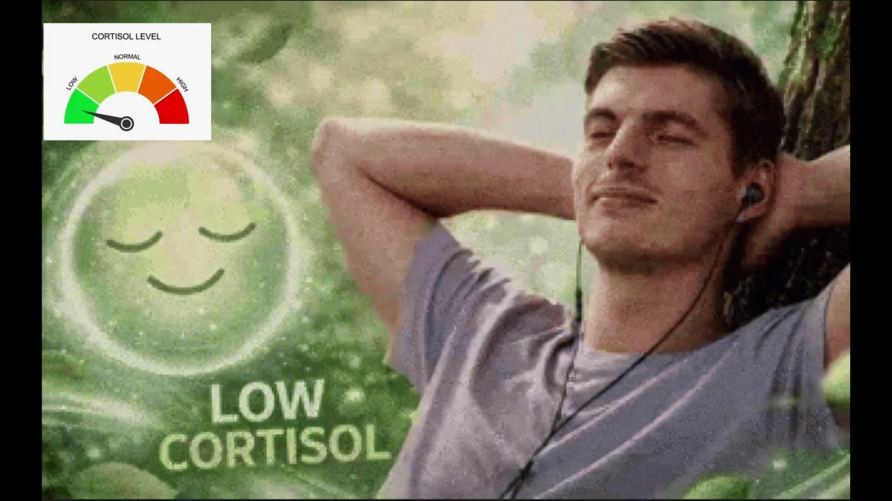 LOW CORTISOL MUSIC (PLAYLIST)  // PLEASE ME X TITANIUM