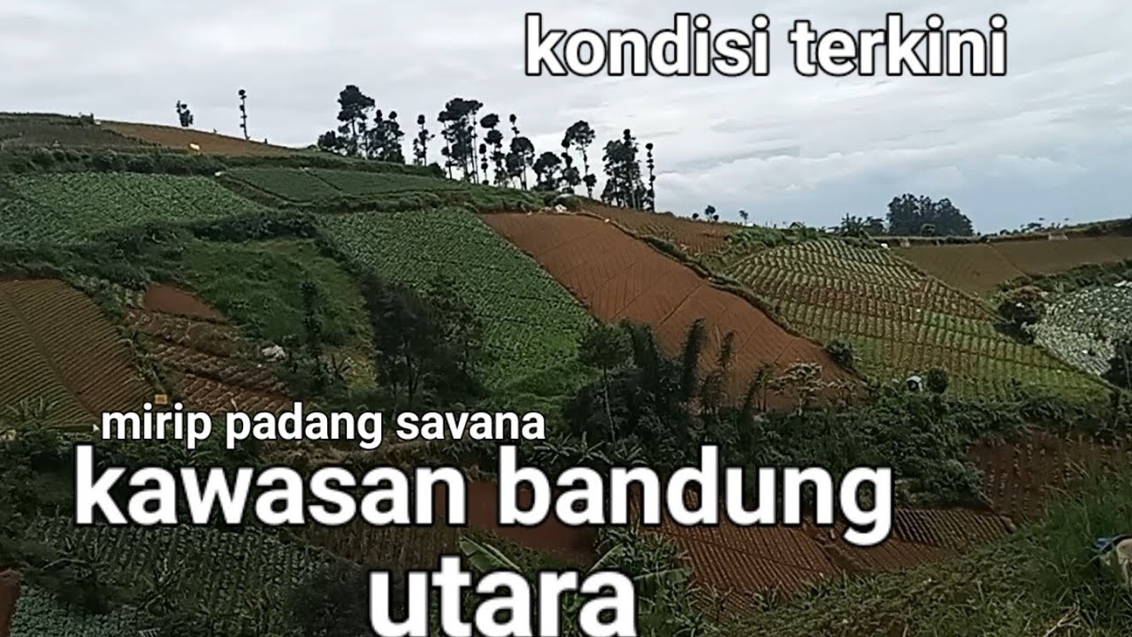 Kondisi terkini jalur dago -merak dampit cimenyan !! Kawasan bandung utara!!