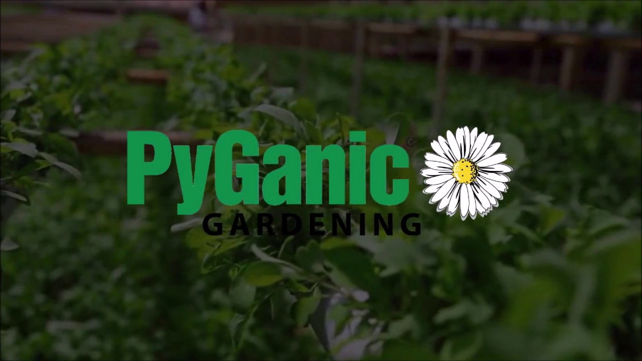 Pyganic&reg; Gardening